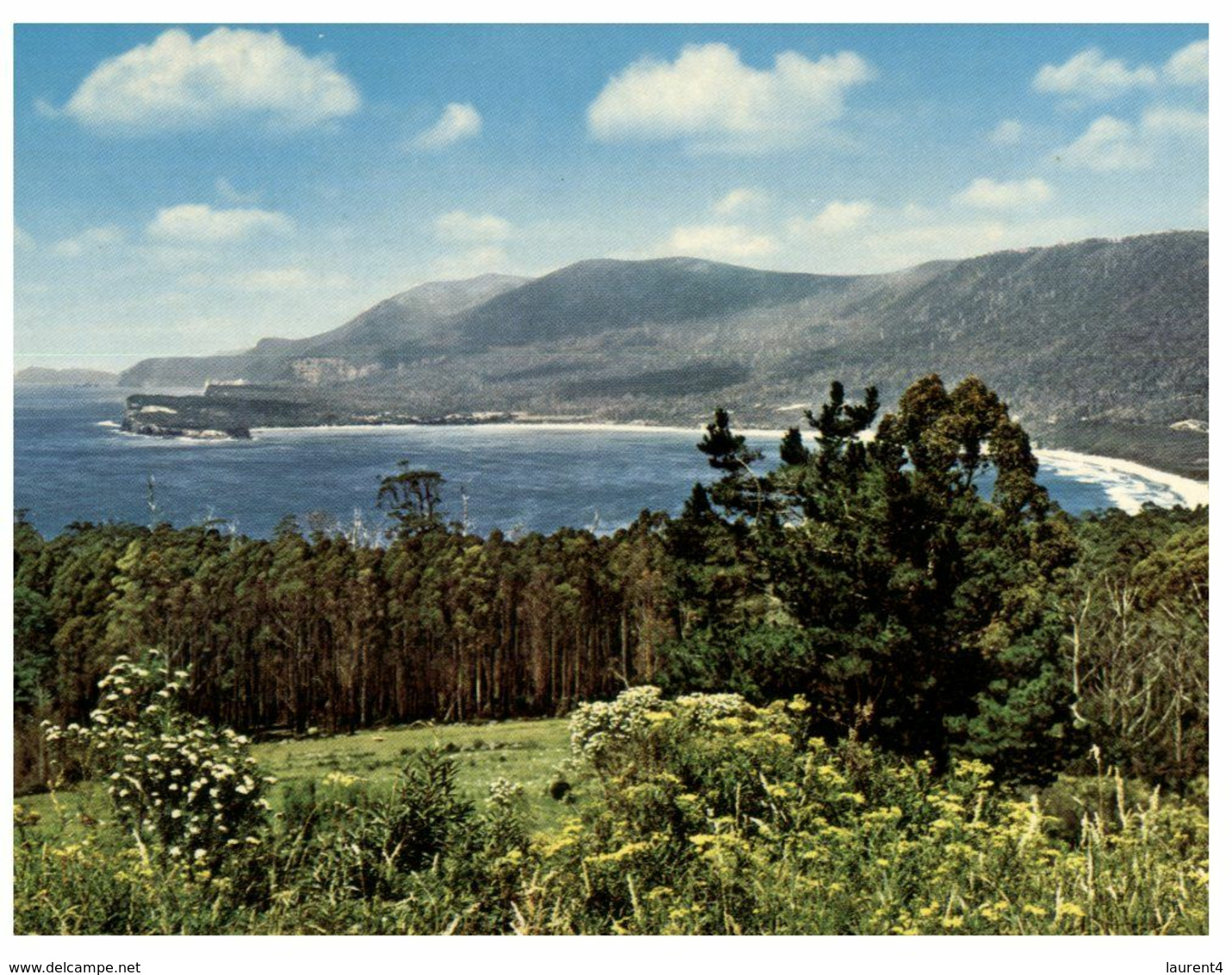 (E 15A) Australia - TAS - Eaglehawk Neck (towards Port Arthur) - Port Arthur