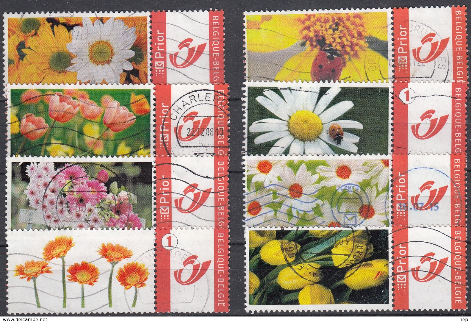 BELGIË - SELECTIE - (BLOEMEN) - Used