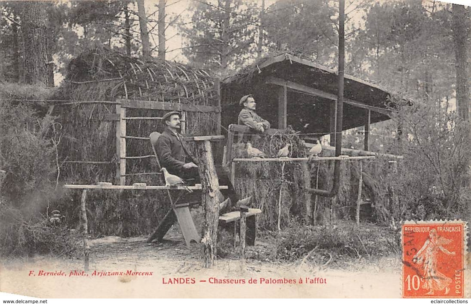 Landes     40      Chasse A La Palombe .  Chasseurs A L'affût            (voir Scan) - Other & Unclassified