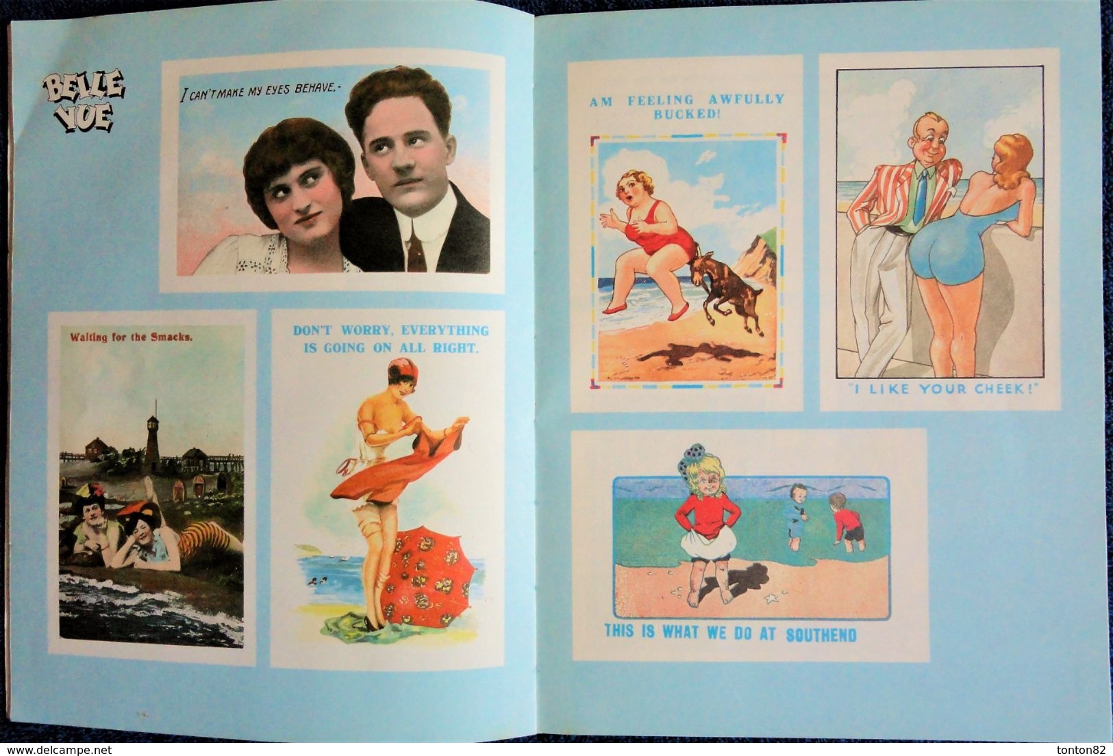 Georgina Howell - The Penguin Book Of NAUGHTY  POSTCARDS - Penguin Books - ( 1977 ) . - Loisirs Créatifs