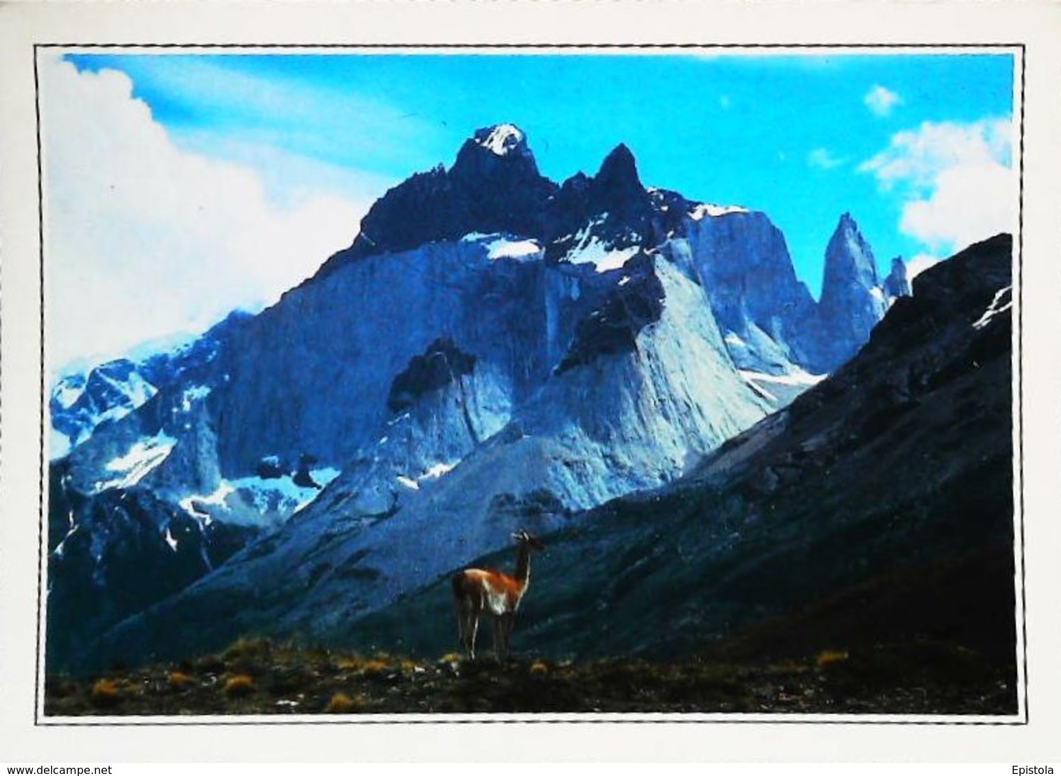 Chili  Parc De Paine Patagonie   Années 80s - Chile