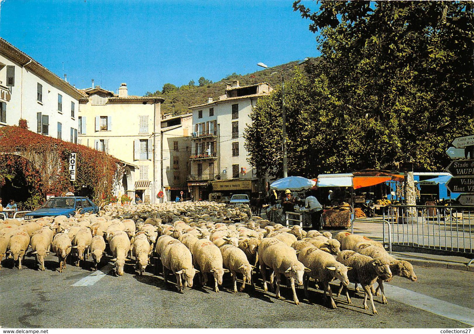 04-CASTELLANE- TRANSHUMANCE D'AUTOMNE - Castellane