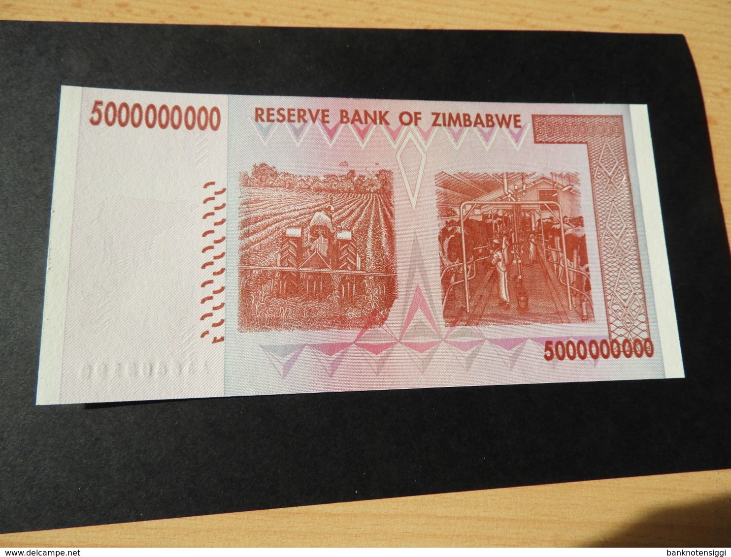 Reserve Bank Of Zimbabwe 500 Billion Dollars  2008 Unc - Zimbabwe