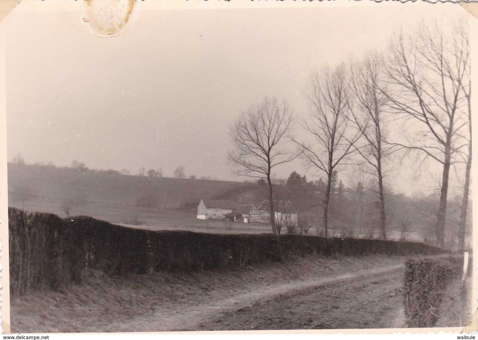 Sippenaeken, Vieux Moulin 1959 Photo Carte. La Photo Est Prise Du Chemin Qui Va De Terbruggen Au Camping - Plombières