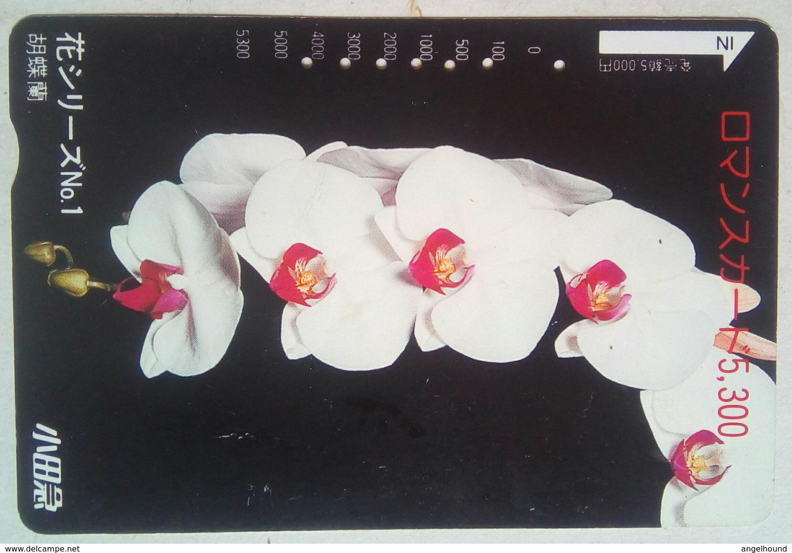 Japan Other Card Orchids - Blumen