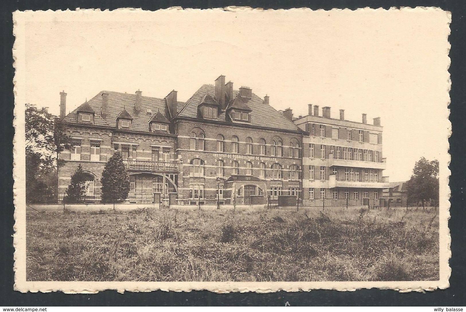 +++ CPA - BRUSSEL - BRUXELLES - WOLUWE ST PIERRE - Institut De Puériculture - Avenue Chant D'Oiseau - Nels   // - Woluwe-St-Pierre - St-Pieters-Woluwe