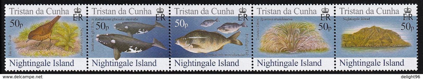 2006 Tristan Da Cunha Nightingale Island: Thrush, Right Whale, Fivefinger Fish, Silt Grass Set (** / MNH / UMM) - Marine Life