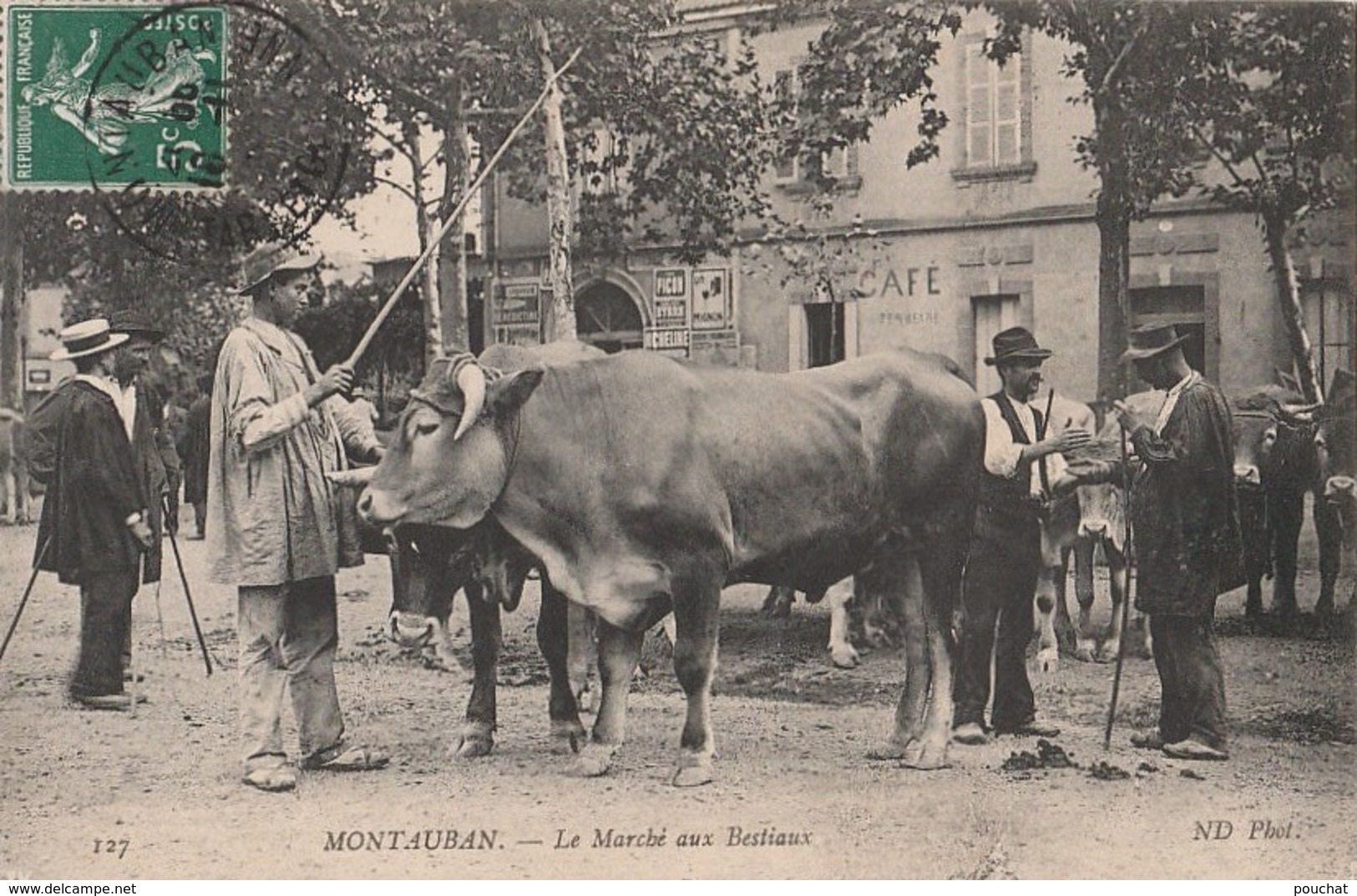 A24- 82) MONTAUBAN - LE MARCHE  AUX BESTAUX  - (TRES ANIMEE - BOEUS - MAQUIGNONS) - Montauban