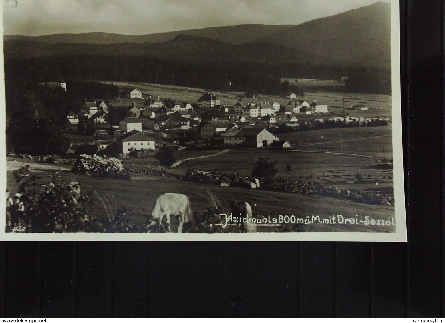 AK Bayern Ansichtskarte Von Haidmühle (Freyung) Mit Drei-Sessel   Um 1920 - Freyung