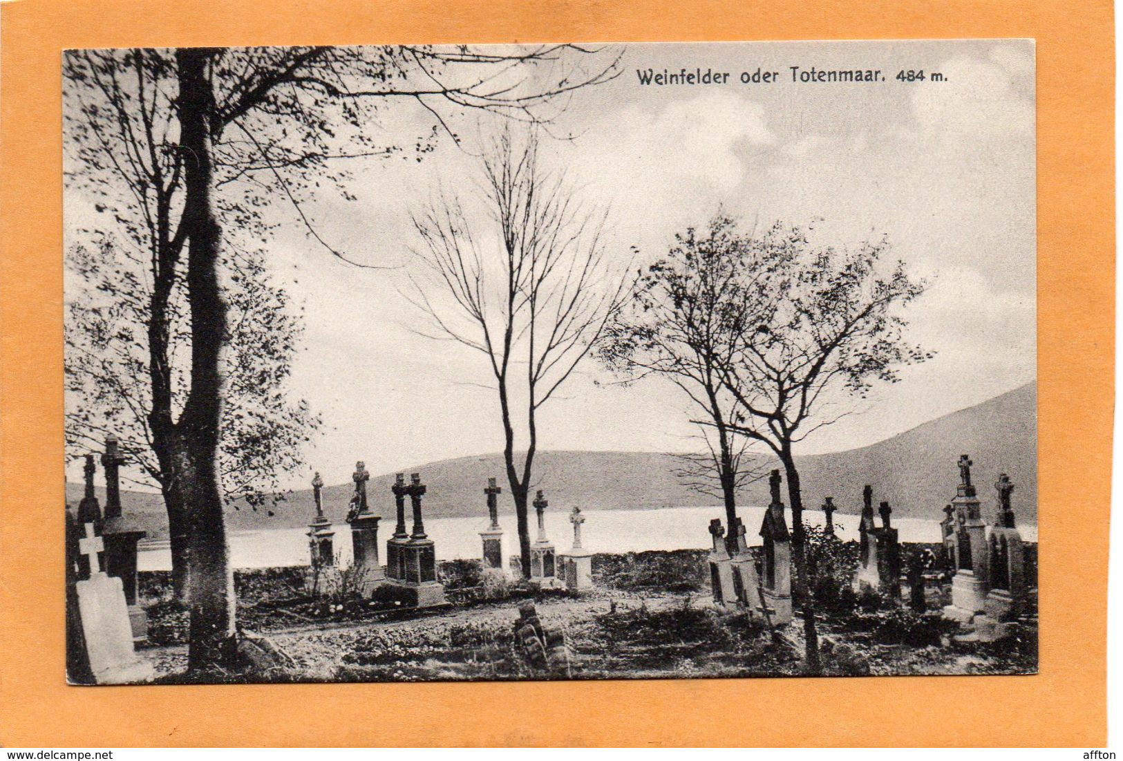 Daun Eifel Weinfelder Totenmaar  Germany 1907 Postcard - Daun