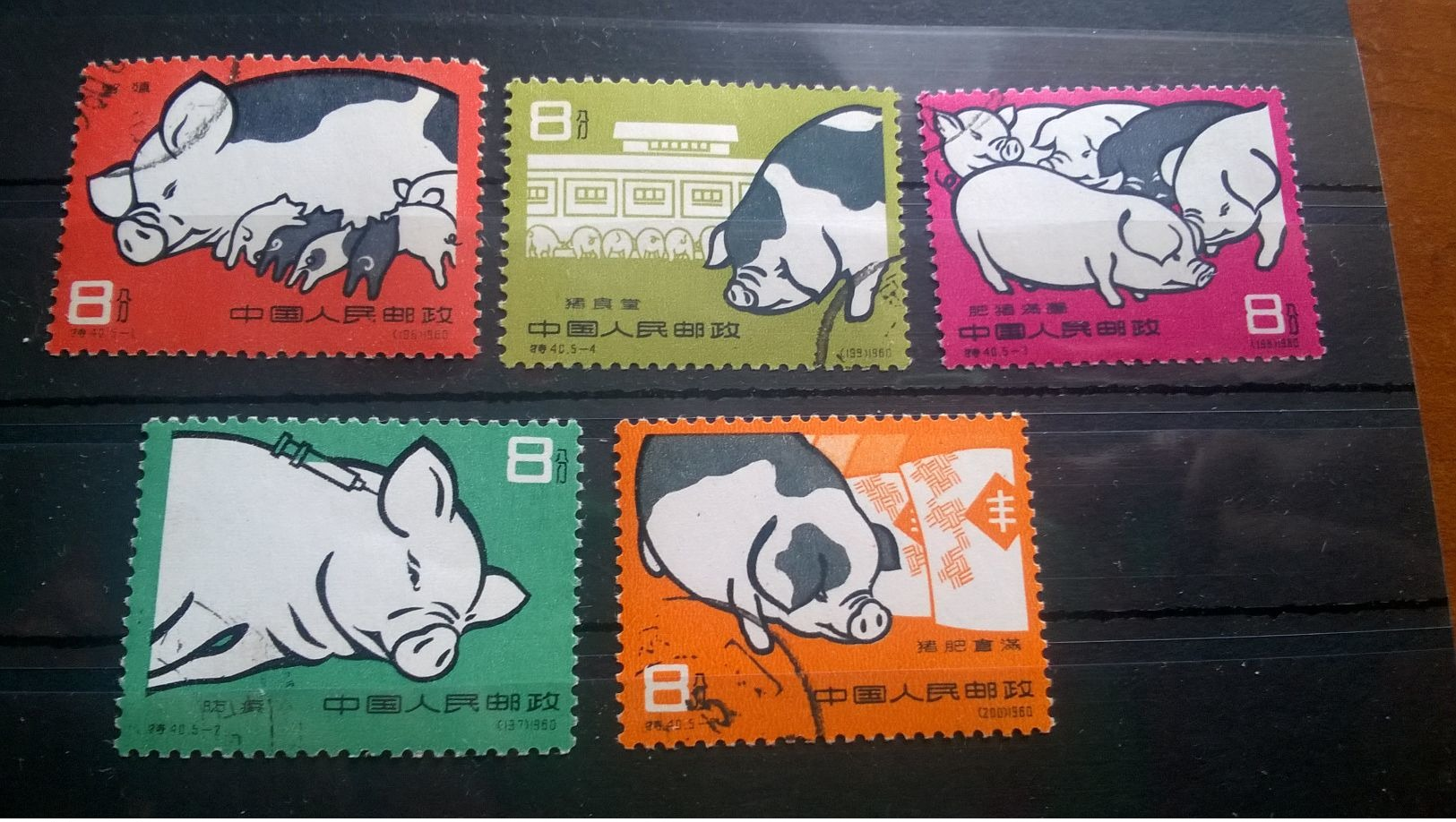 China 1960 Pig-breeding СТО - Nuovi