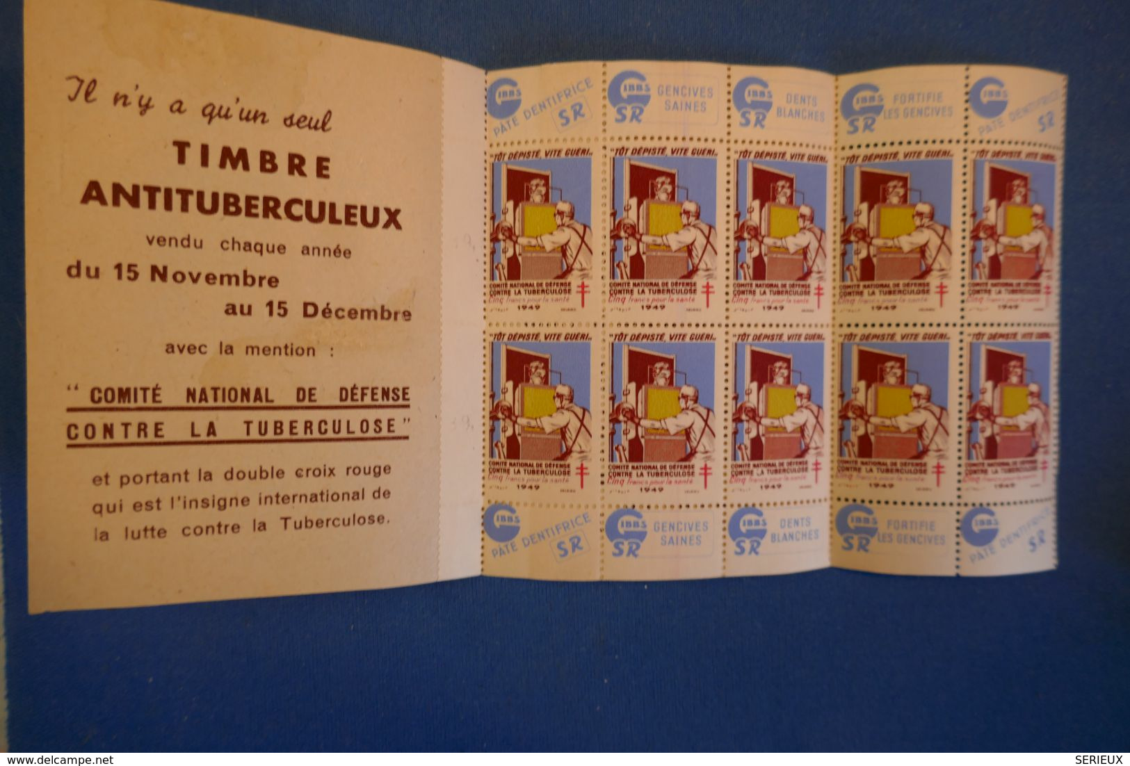 D46 FRANCE CARNET DEPISTAGE TUBERCULOSE 1949 10 TIMBRES - Altri & Non Classificati