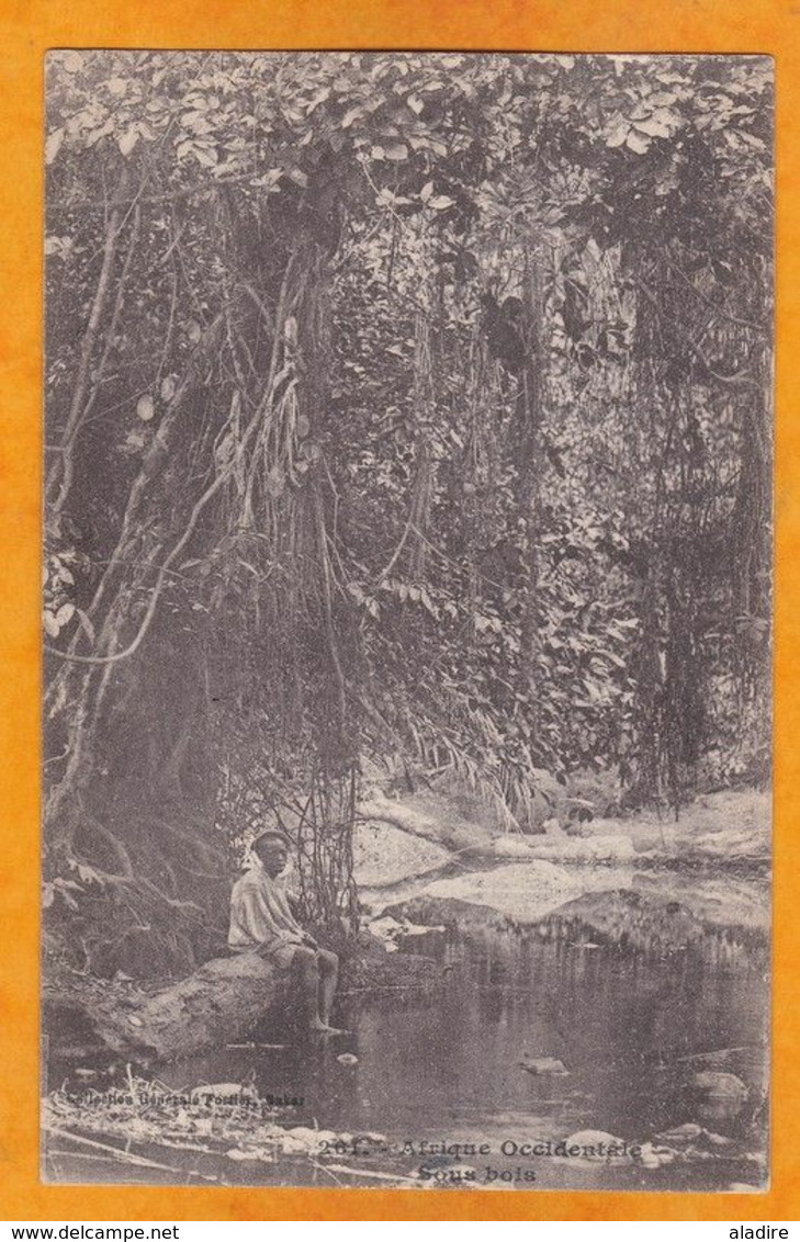 1929 - CP De Dakar, Sénégal, AOF Vers  Paris - Affranchissement 10 C - Vue : Sous-bois - Lettres & Documents