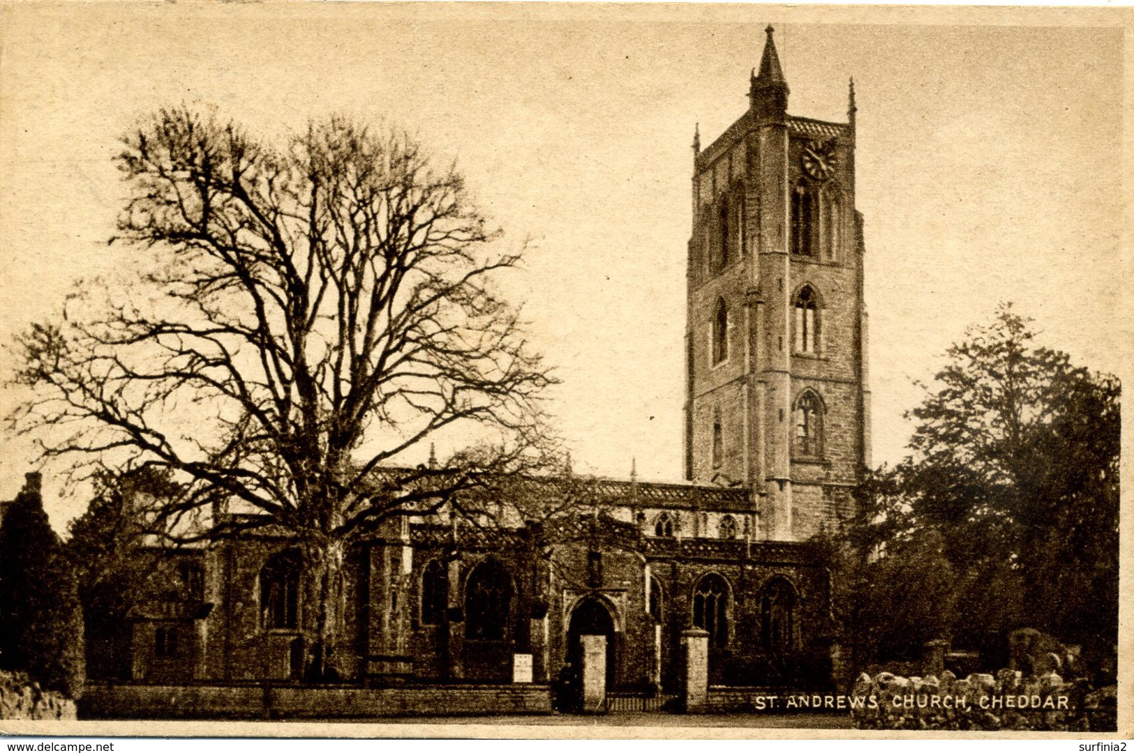 SOMERSET - CHEDDAR - ST ANDREW'S CHURCH Som568 - Cheddar