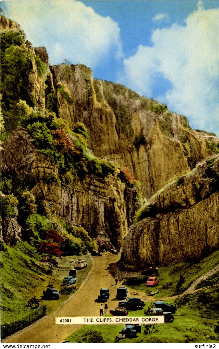 SOMERSET - CHEDDAR GORGE - THE CLIFFS Som572 - Cheddar