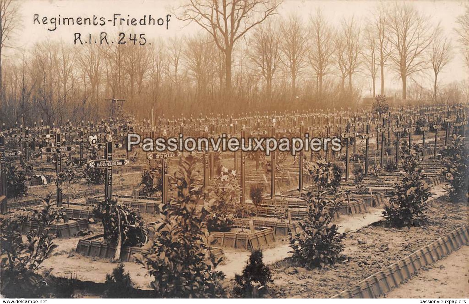 CARTE PHOTO ALLEMANDE MOORSLEDE 1915 ? CIMETIERE FRIEDHOF RESERVE INFANTERIE REGIMENT 245 (RESERVE FELD LAZARETT 91 ?) - Moorslede