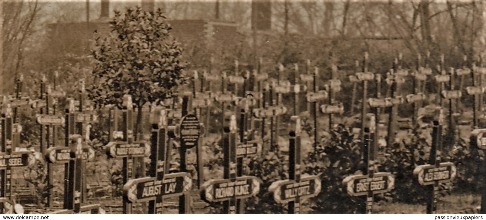 CARTE PHOTO ALLEMANDE MOORSLEDE 1915 ? CIMETIERE FRIEDHOF RESERVE INFANTERIE REGIMENT 245 (RESERVE FELD LAZARETT 91 ?) - Moorslede