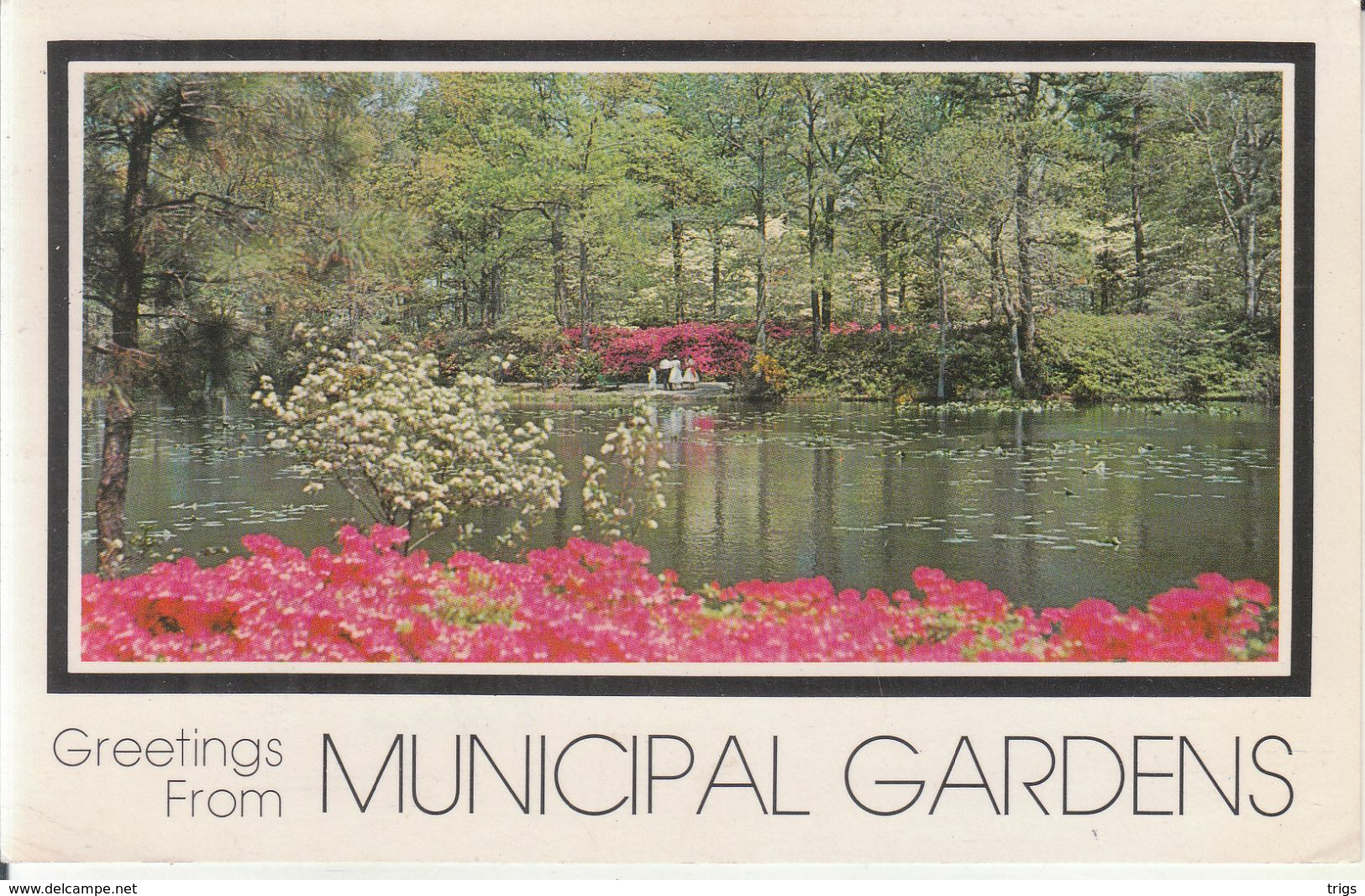 Norfolk - Municipal Gardens - Norfolk