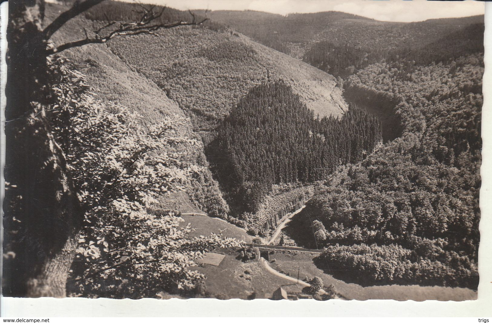 Zella Mehlis - Blick Vom Reißenden Stein - Zella-Mehlis