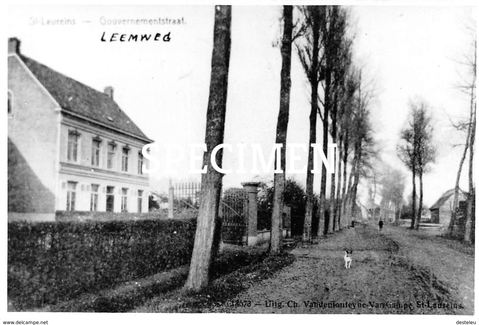 Foto Copy Gouvernementstraat - Sint-Laureins - Sint-Laureins