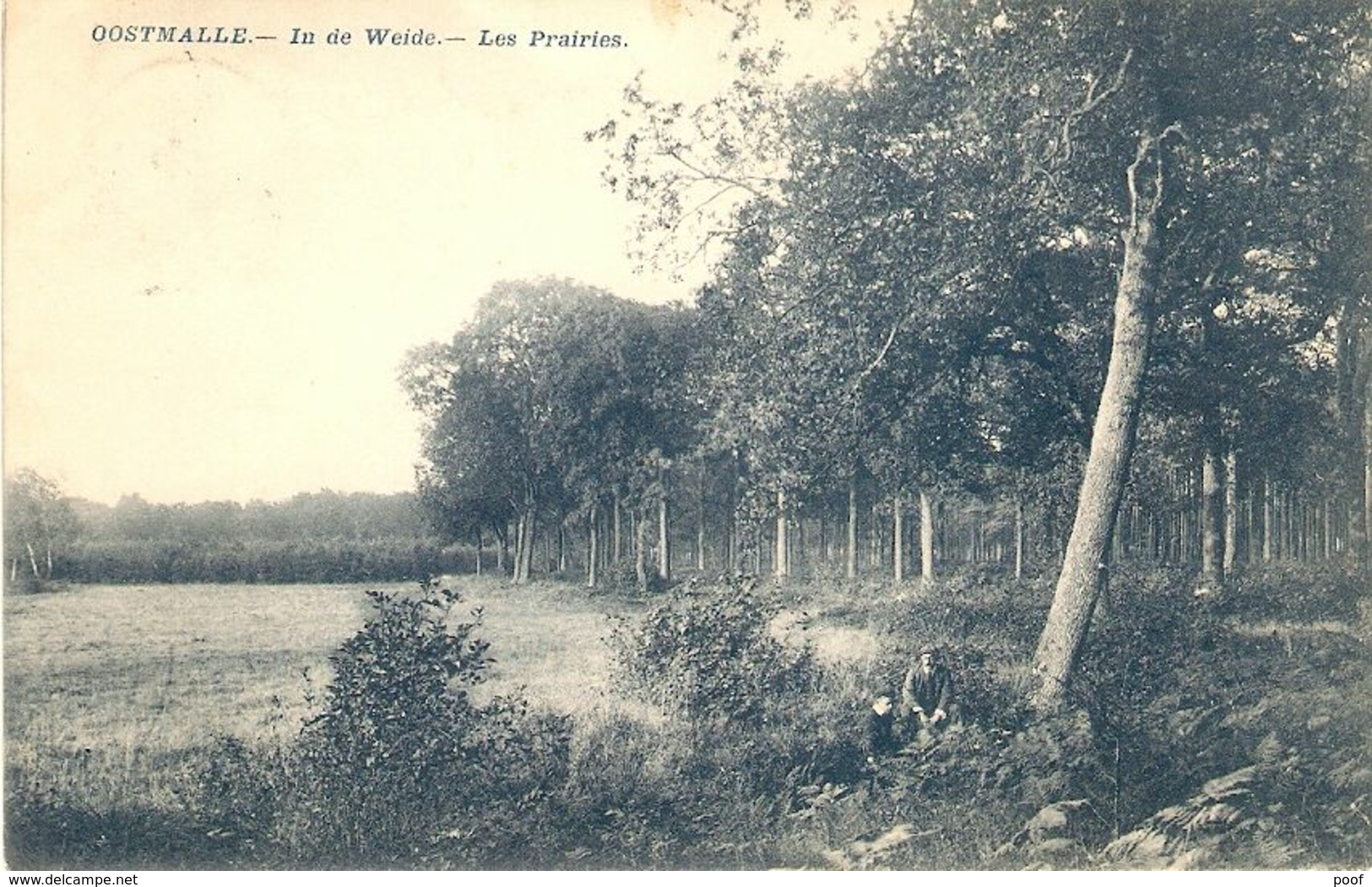 Oostmalle : In De Weide / Les Prairies  1910 - Malle