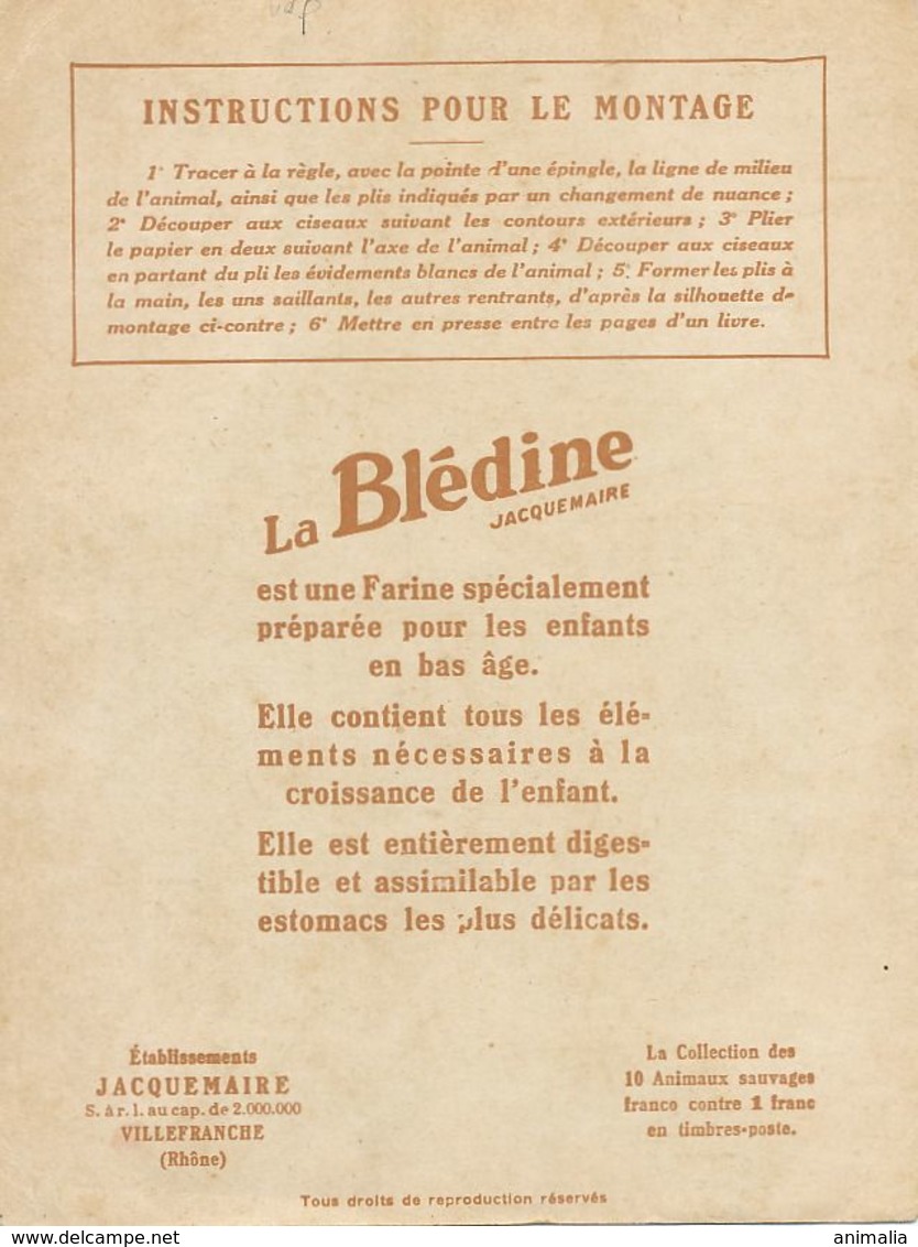 Hippopotame . Hippopotamus .  Carte à Decouper Bledine Jacquemaire.  Villefranche . Format 11 Par 14 Cms - Flusspferde