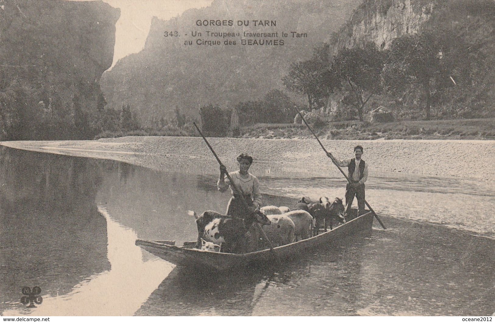 48  Gorges Du Tarn. Un Troupeau Traversant En Barque Le Tarn Au Cirque Des Beaumes - Gorges Du Tarn