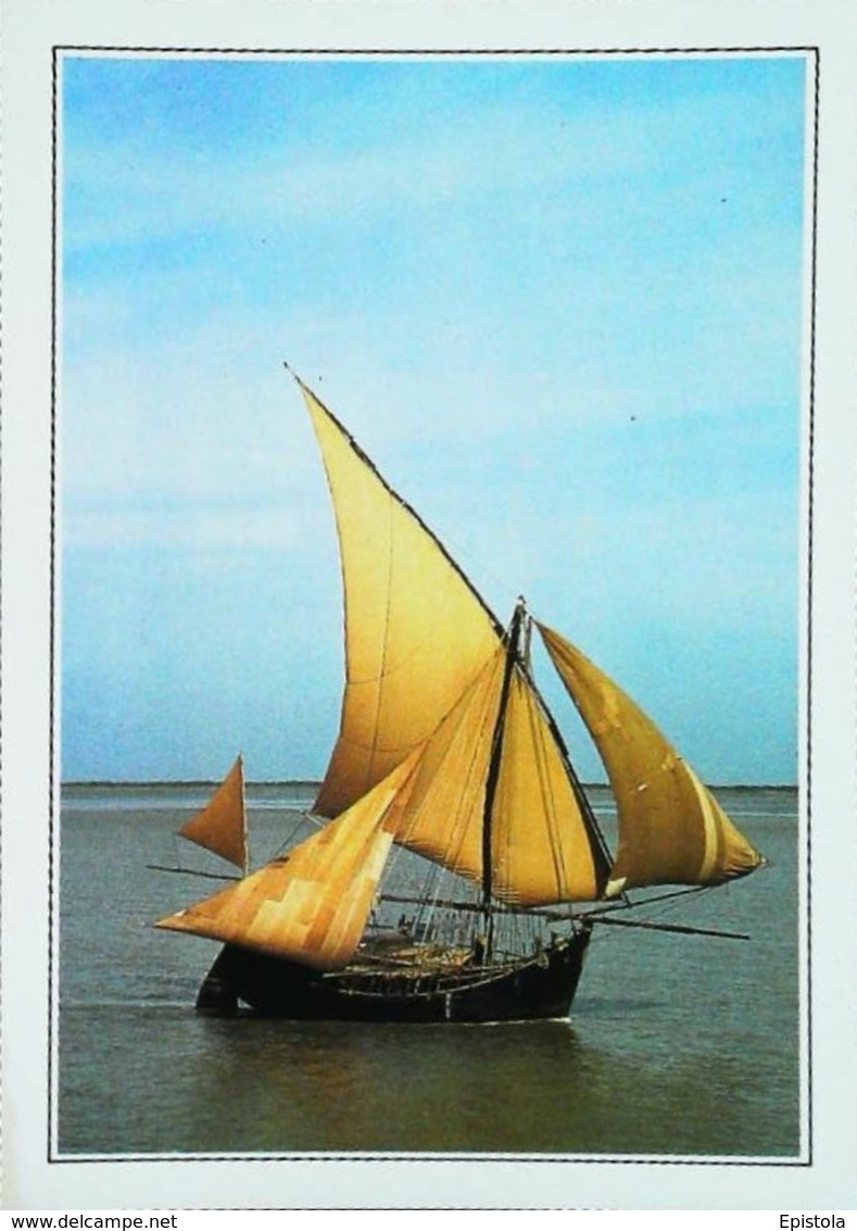 Inde Bateau à Voiles Sur Le Delta Du Gange    Années 80s - Bangladesch