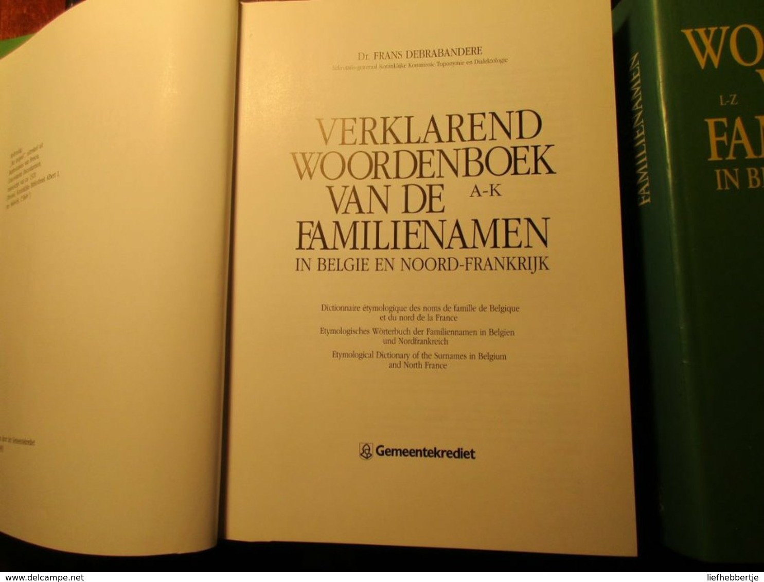 Woordenboeken Van De Familienamen In België En Noord-Frankrijk - Naamkunde - Genealogie - Frans - Vlaanderen - Histoire