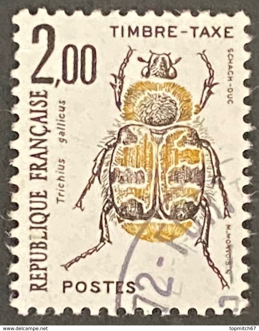 FRAYX107U - Timbres Taxe Insectes Coléoptères (I) 2 F Used Stamp 1982 - France YT YX 107 - Zegels