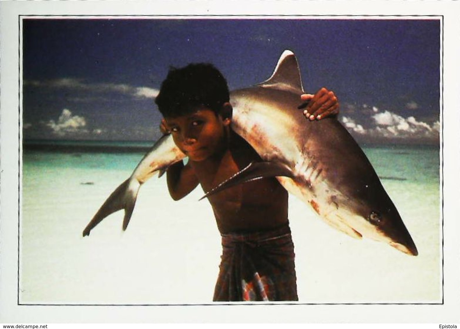 Maldives Requin Blanc Shark    Années   80s - Maldivas