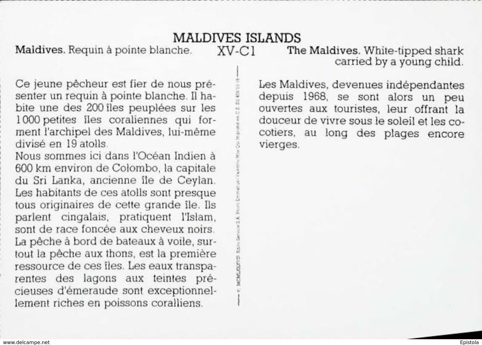 Maldives Requin Blanc Shark    Années   80s - Maldiven