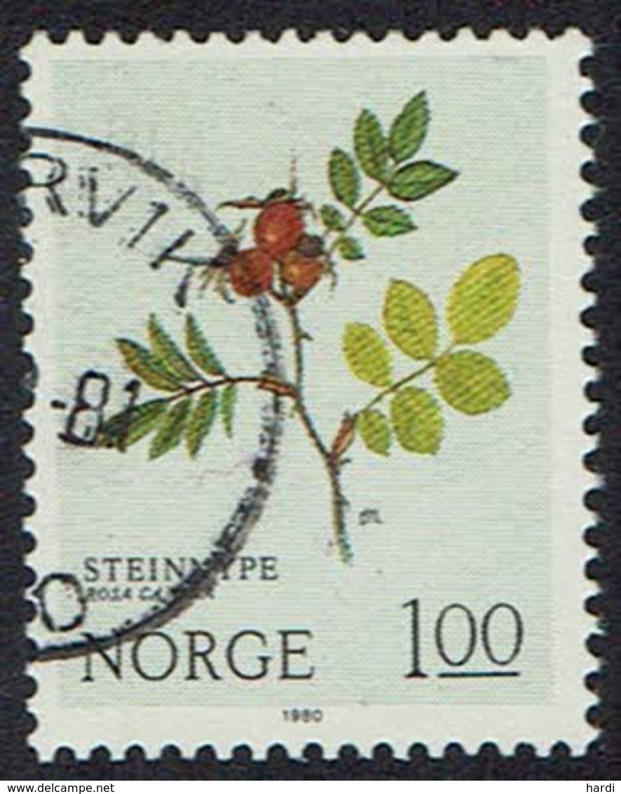 Norwegen 1980, MiNr 826, Gestempelt - Gebraucht