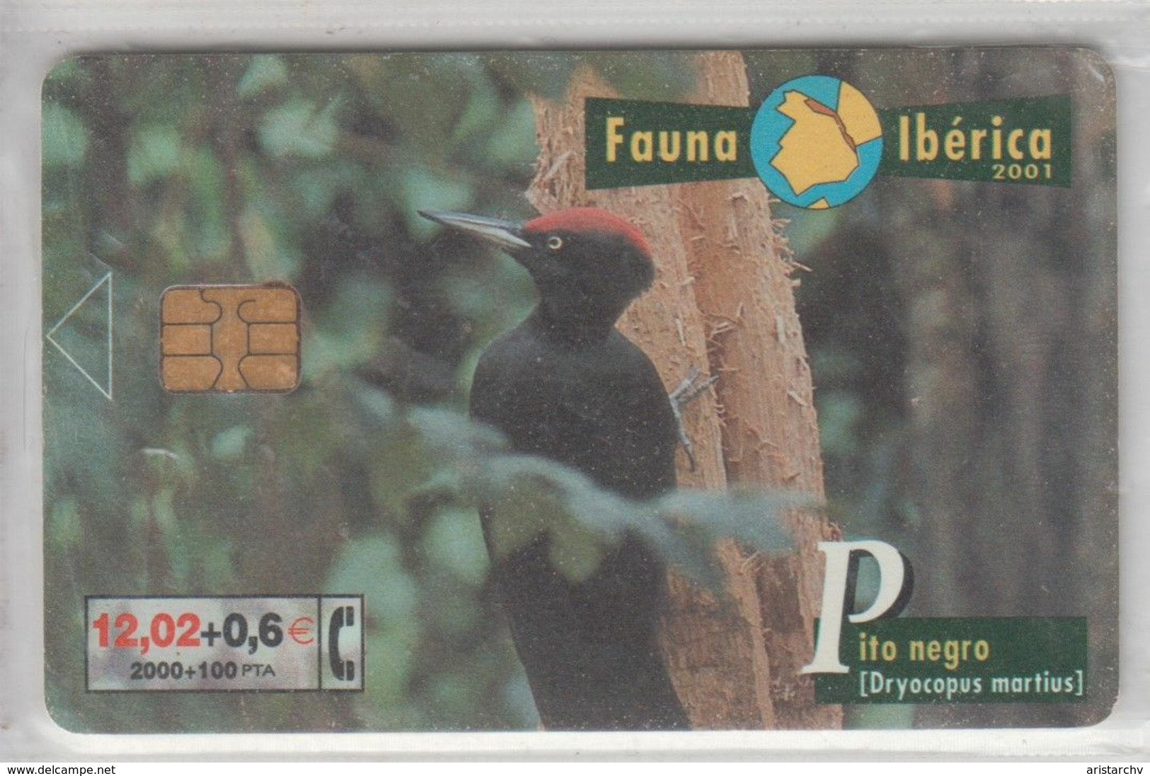 SPAIN 2001 FAUNA IBERICA BIRD PITO NEGRO WOODPECKER - Pájaros Cantores (Passeri)