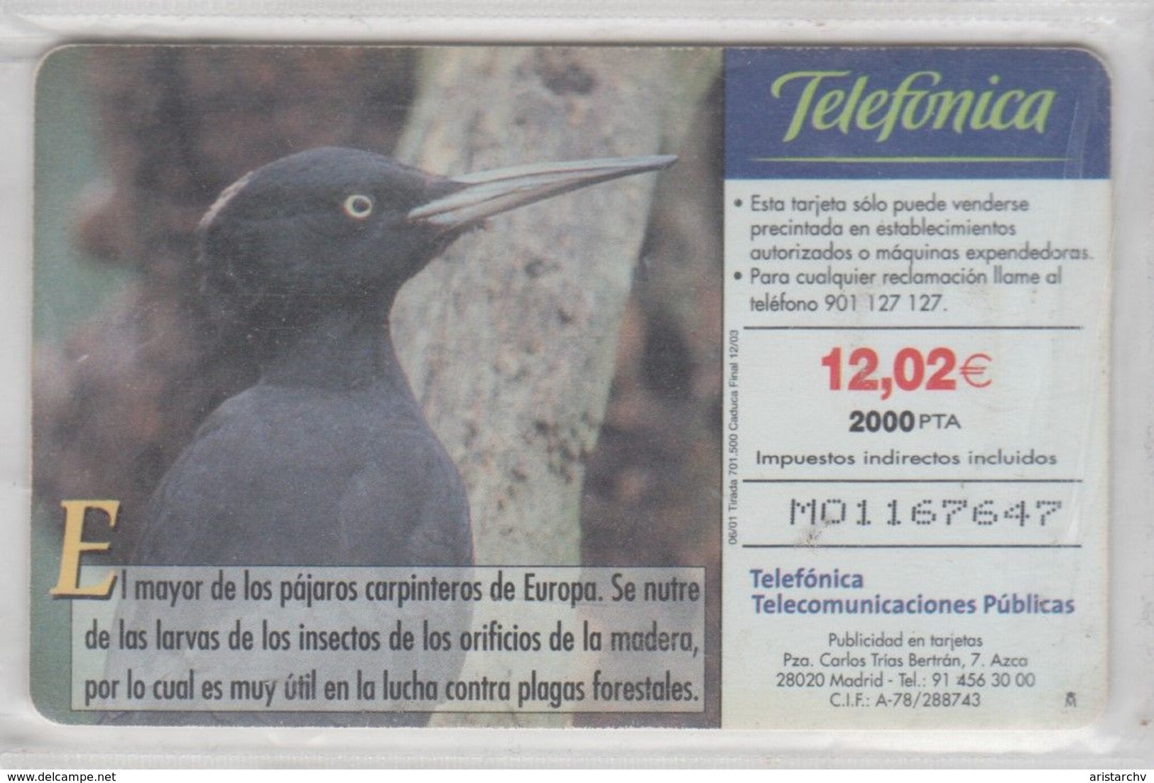 SPAIN 2001 FAUNA IBERICA BIRD PITO NEGRO WOODPECKER - Sperlingsvögel & Singvögel