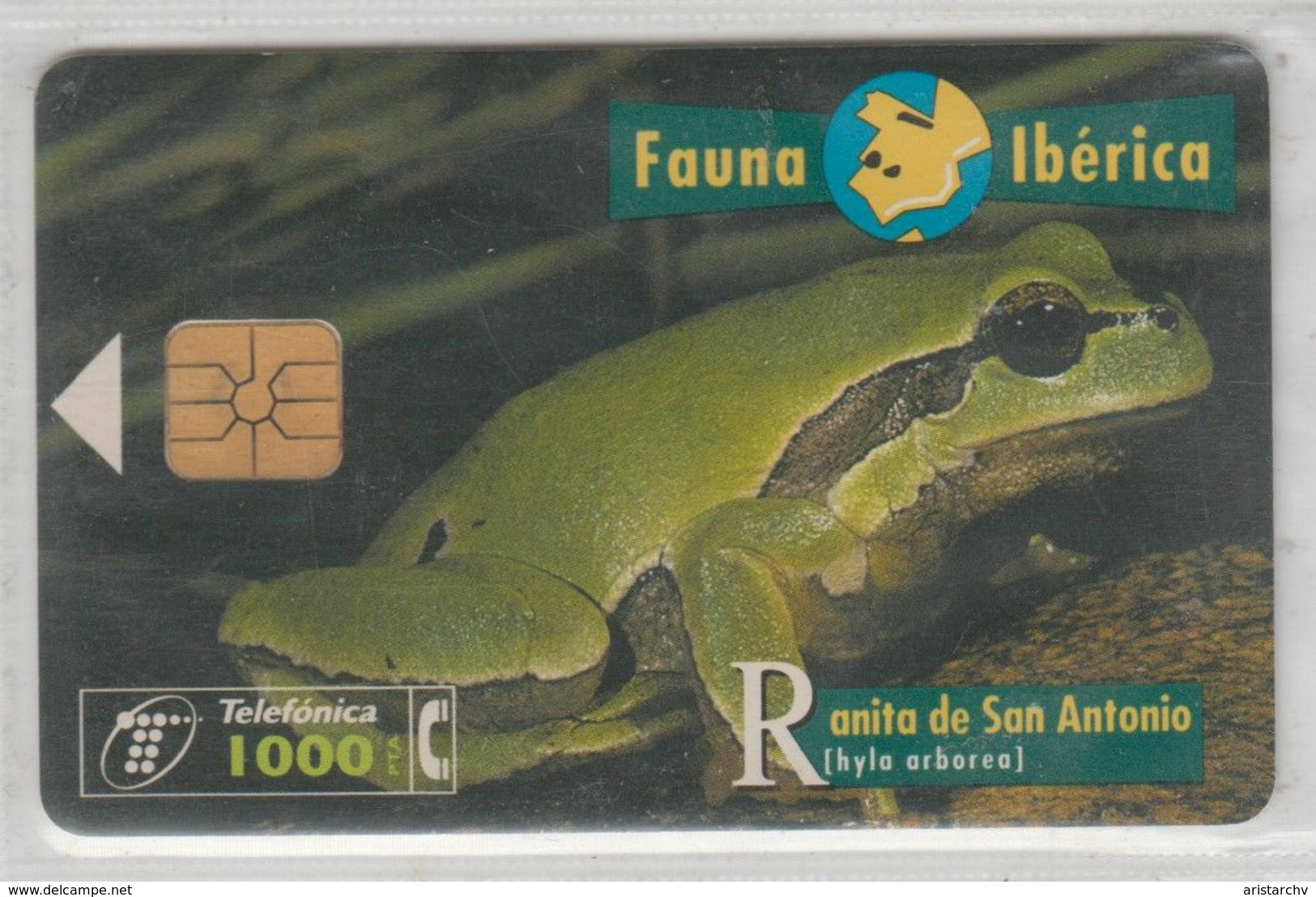 SPAIN 1996 FAUNA IBERICA FROG RANITA DE SAN ANTONIO - Jungle