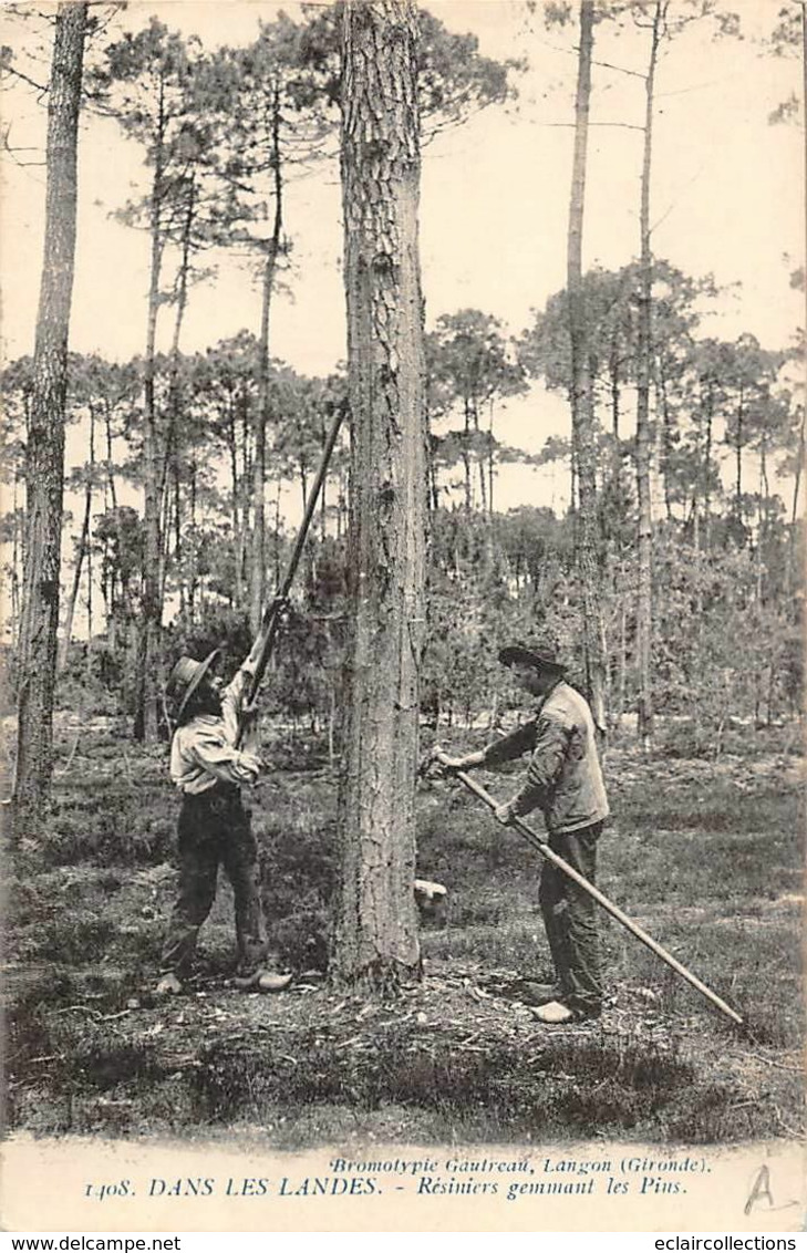 Landes Non Classés       40       Résiniers   Gommant Les  Pins    (voir Scan) - Andere & Zonder Classificatie