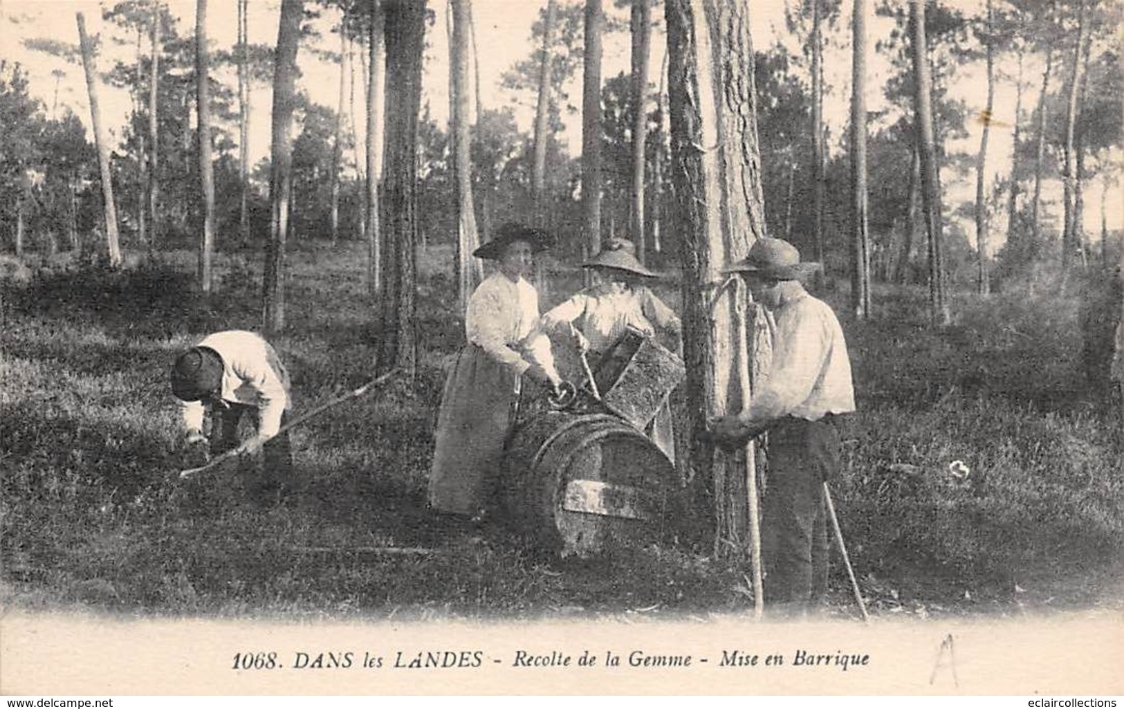 Landes Non Classés       40    Résinier . Récolte De La Gemme .Mise En Barrique .   (voir Scan) - Otros & Sin Clasificación