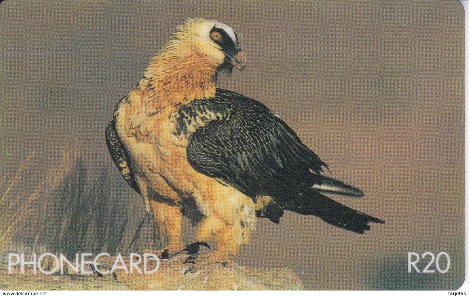 TARJETA DE SUDAFRICA DE UN QUEBRANTAHUESOS  (EAGLE) - Águilas & Aves De Presa