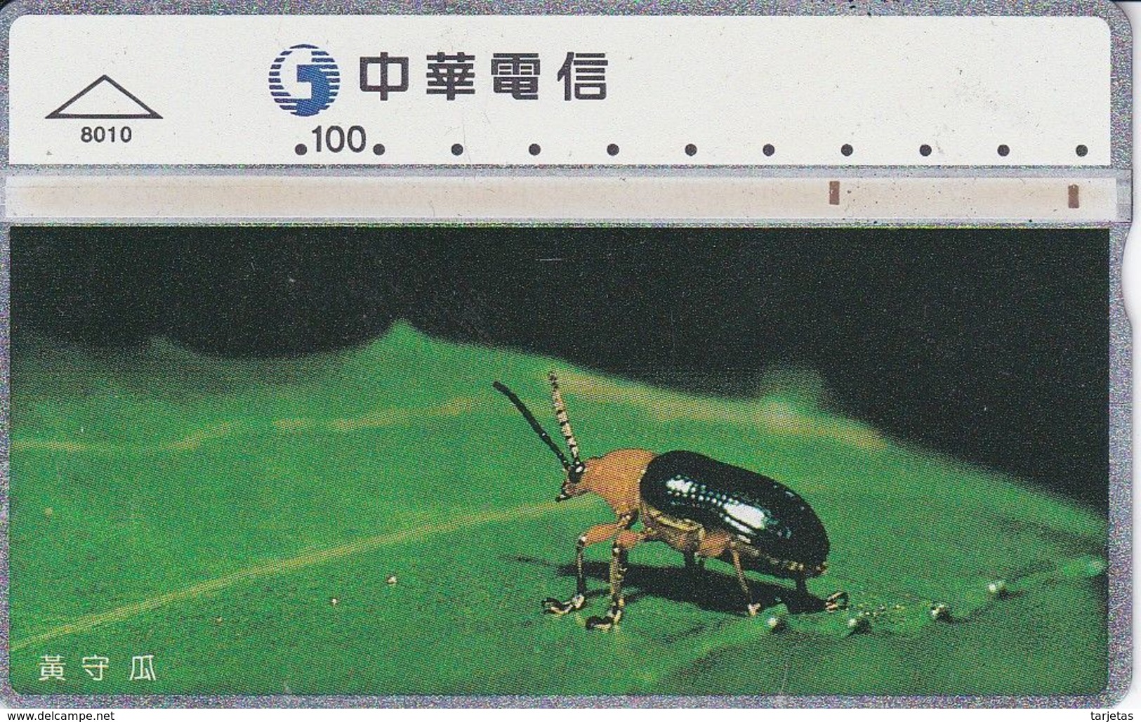 TARJETA DE TAIWAN DE UNOS INSECTOS  (INSECTO-INSECT) - Andere & Zonder Classificatie