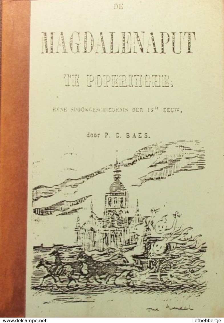 De Magdalenaput Te Poperinge - Geschichte