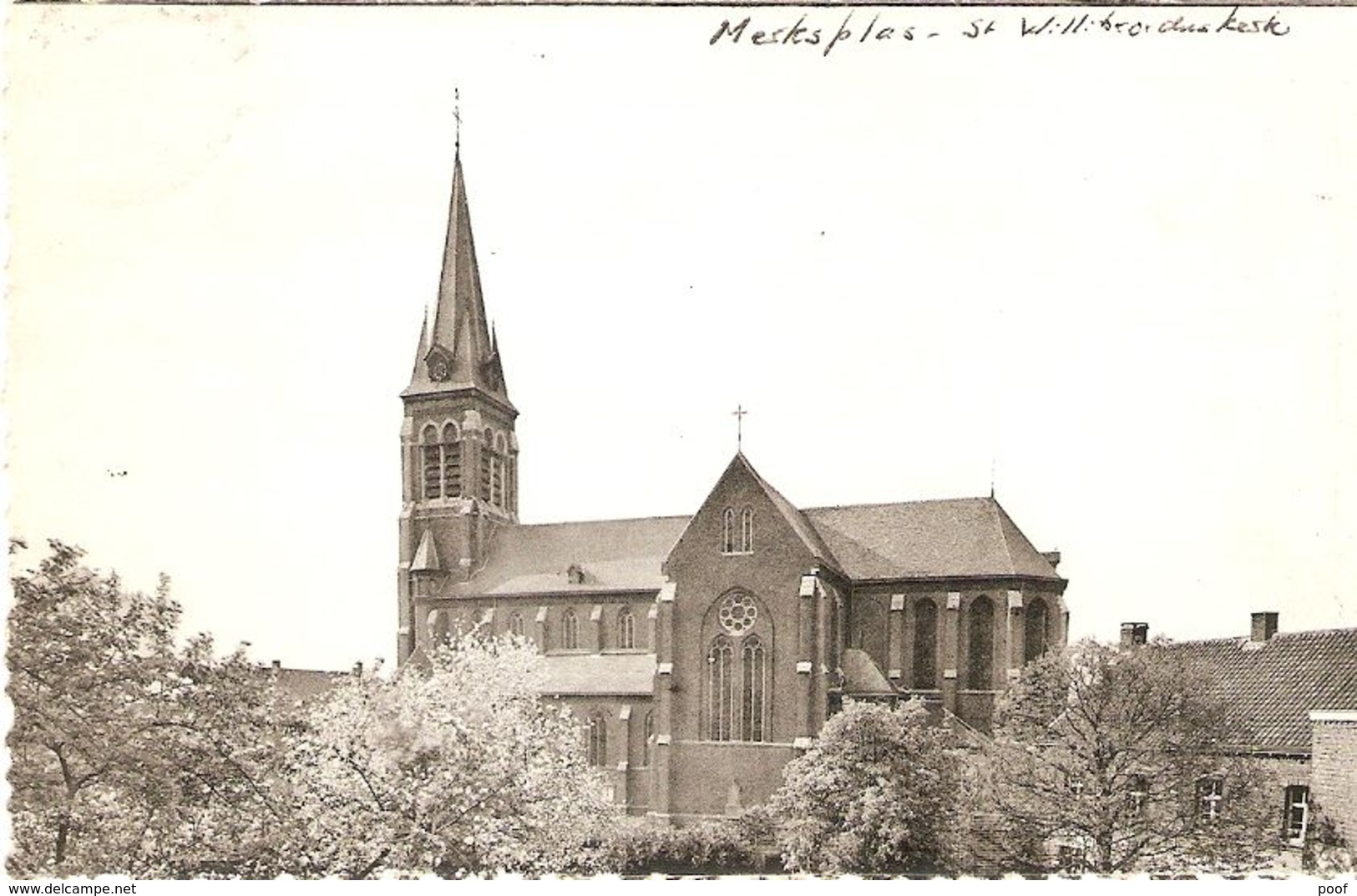 Merksplas : Kerk St. Willibrordus - Merksplas