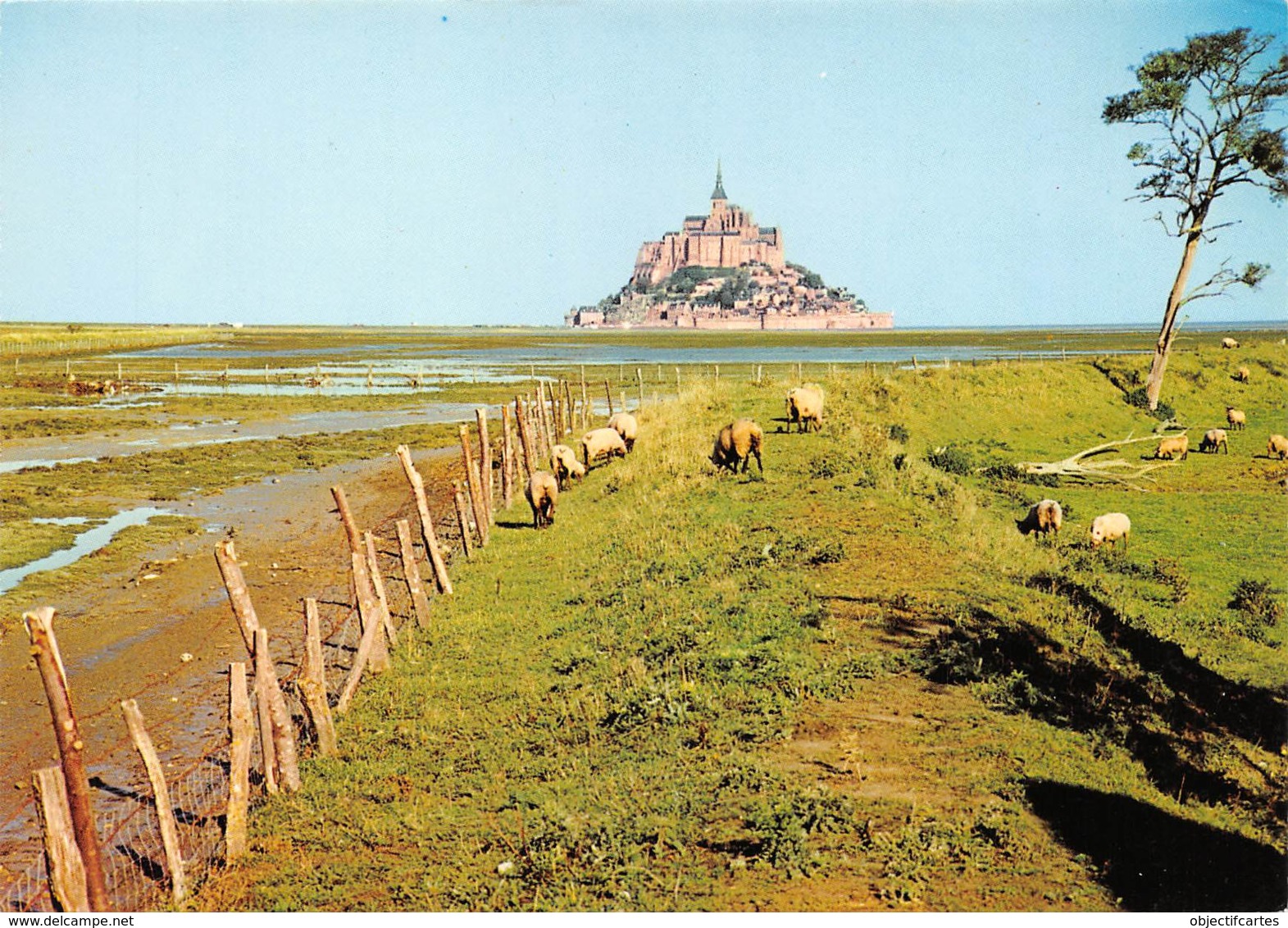 LE MONT SAINT MICHEL  Le Mont Et Les Moutons De Prés-salés     24  (scan Recto Verso)MH2964 - Le Mont Saint Michel