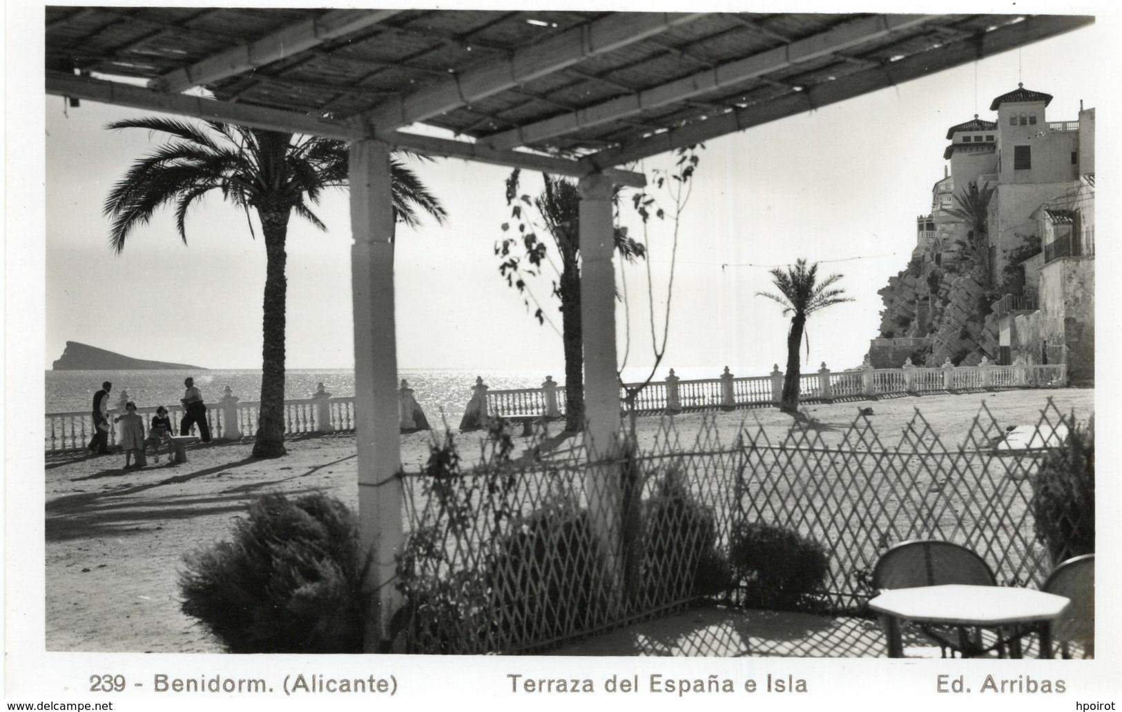 BENIDORM ALICANTE - TERRAZA DEL ESPANA E ISLA - FORMATO PICCOLO - (rif. A15) - Alicante