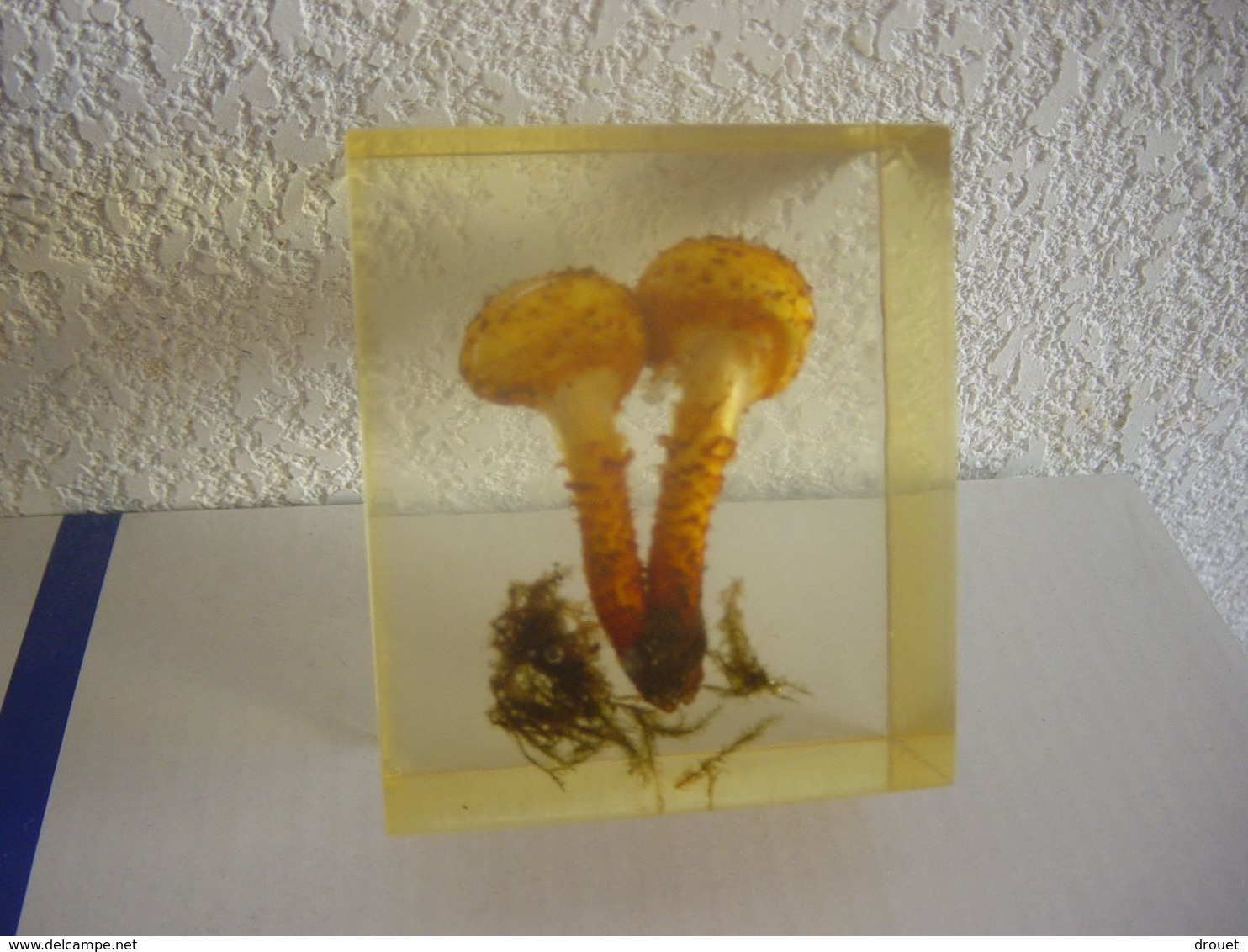 CHAMPIGNON EN INCLUSION - PRESSE PAPIER OU AUTRE - Paper-weights