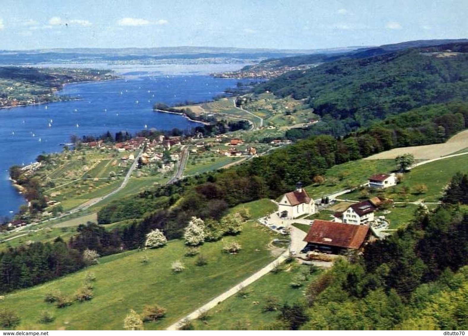 Klingenzell - Tg - Mit Blick Auf Mammern Und Untersee - Formato Grande Viaggiata – E 16 - Mammern