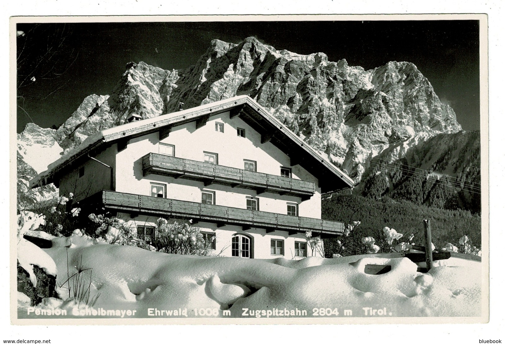 Ref 1391 - Real Photo Postcard - Pension Scheibmayer Ehrwald - Tirol Tyrol Austria - Ehrwald