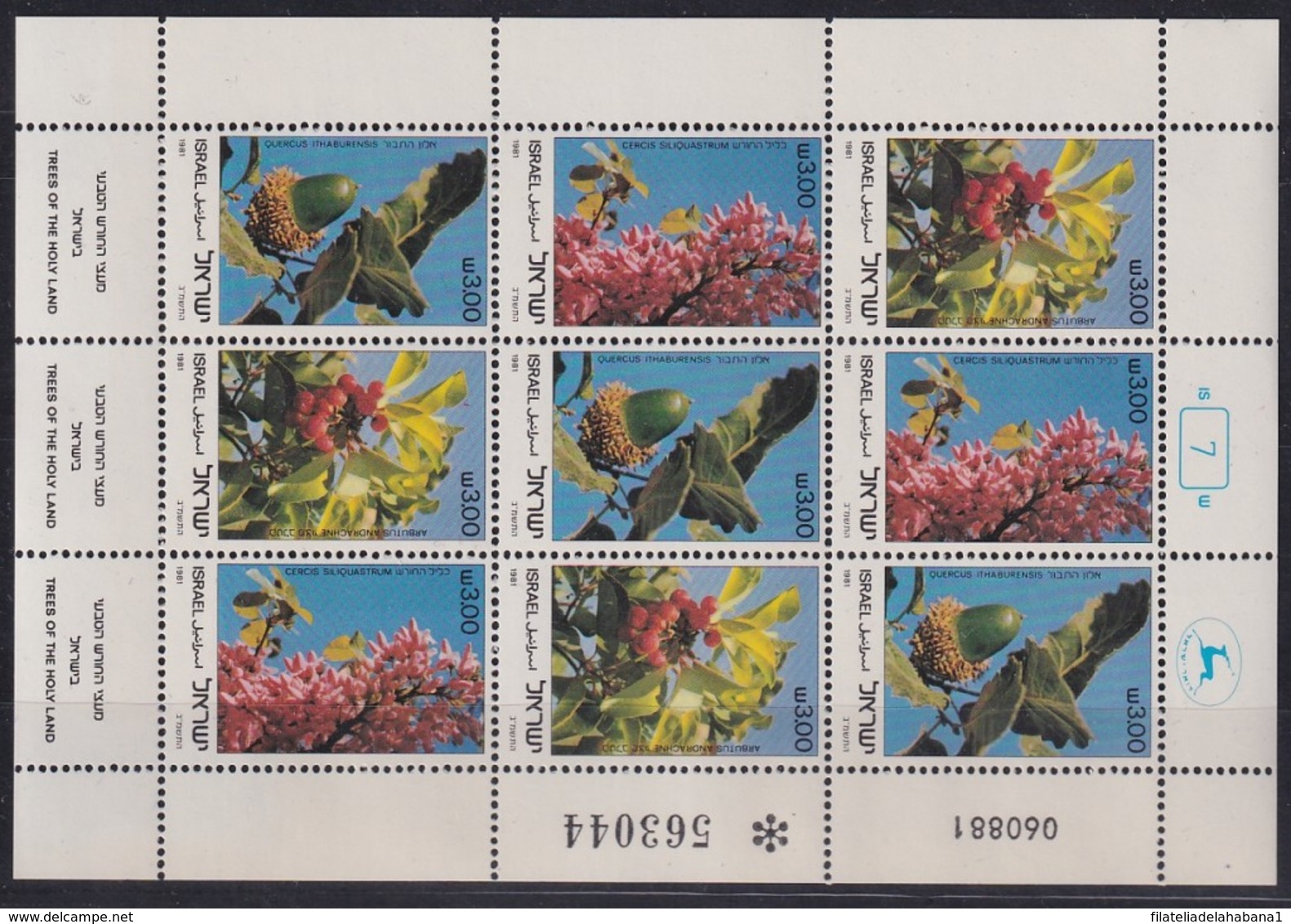 F-EX18248 ISRAEL MNH 1981 TREE HOLY LAND SPECIAL SHEET. - Agriculture