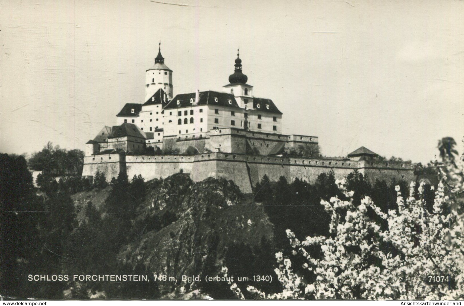 009130  Schloss Forchtenstein  1960 - Forchenstein