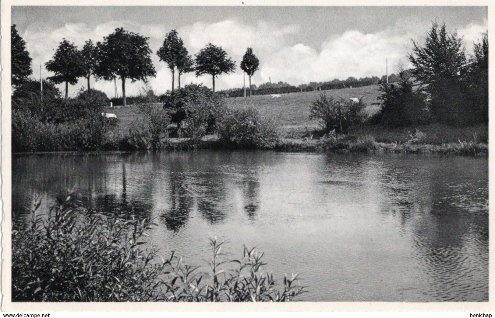 CPA NELS - AUBERGE LA RENAISSANCE - PHILIPPEVILLE -  LES ETANGS DE LA VIEILLE GARE -  NEUVE -  NON VOYAGEE - Philippeville